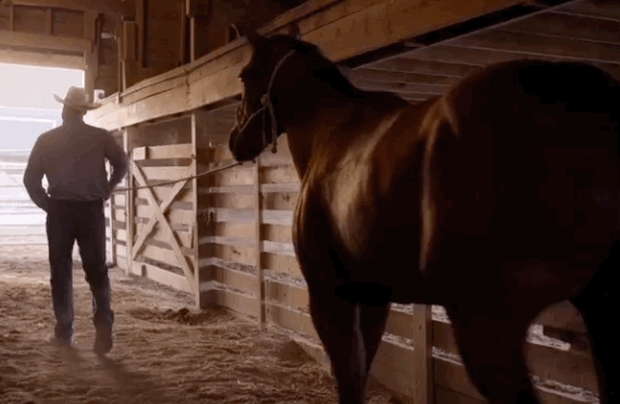 JPMorgan Chase & Co.